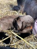 Ne pas me déranger ...